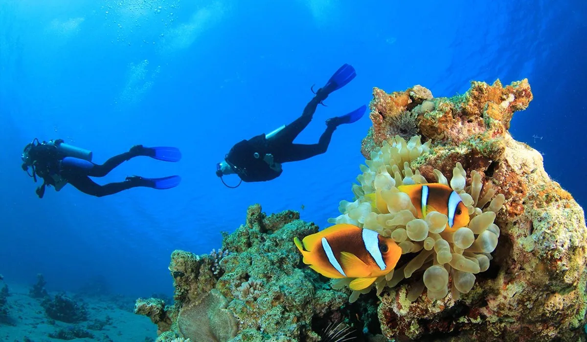 Diving